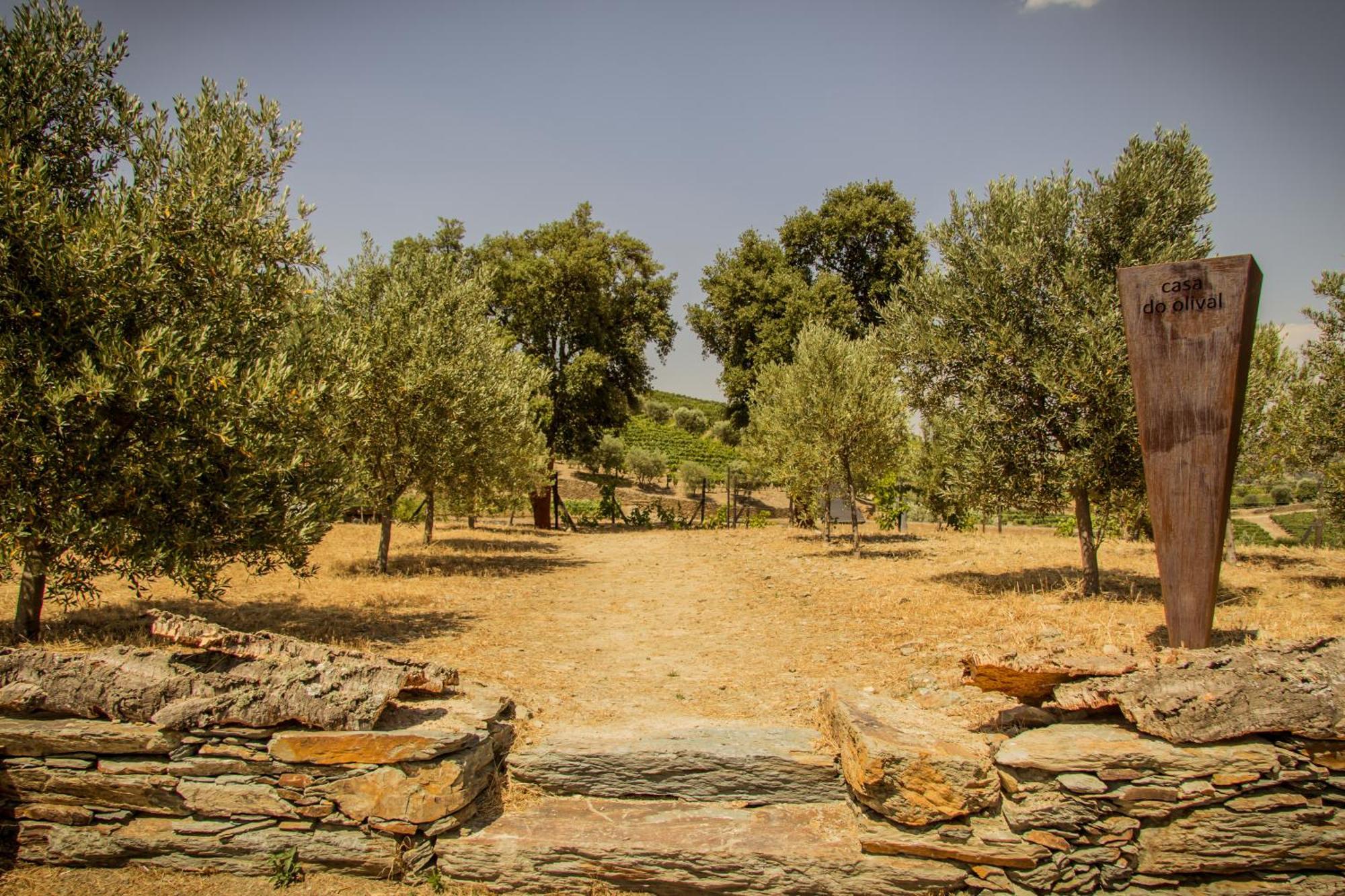 Quinta Vale Das Papas Casal de Loivos エクステリア 写真